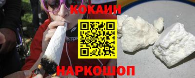 jwh Бийск