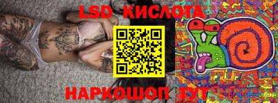 jwh Бийск