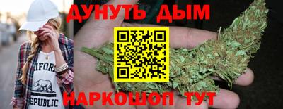jwh Бийск