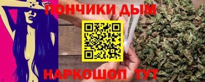 jwh Бийск