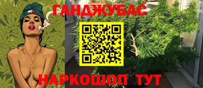 ГАЛЛЮЦИНОГЕННЫЕ ГРИБЫ Беслан