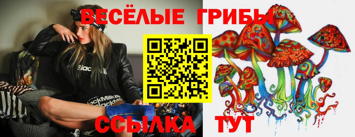 Галлюциногенные грибы ЛСД  Вход с VPN  Кольчугино 